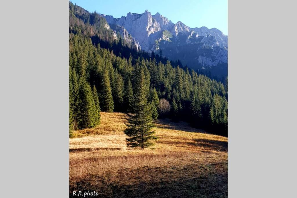 Domek Goralski Parzenica Косцелиско Экстерьер фото
